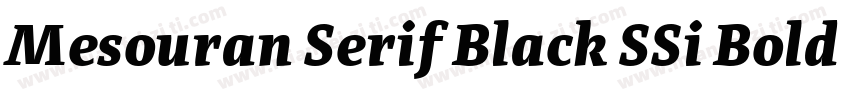 Mesouran Serif Black SSi Bold Italic字体转换